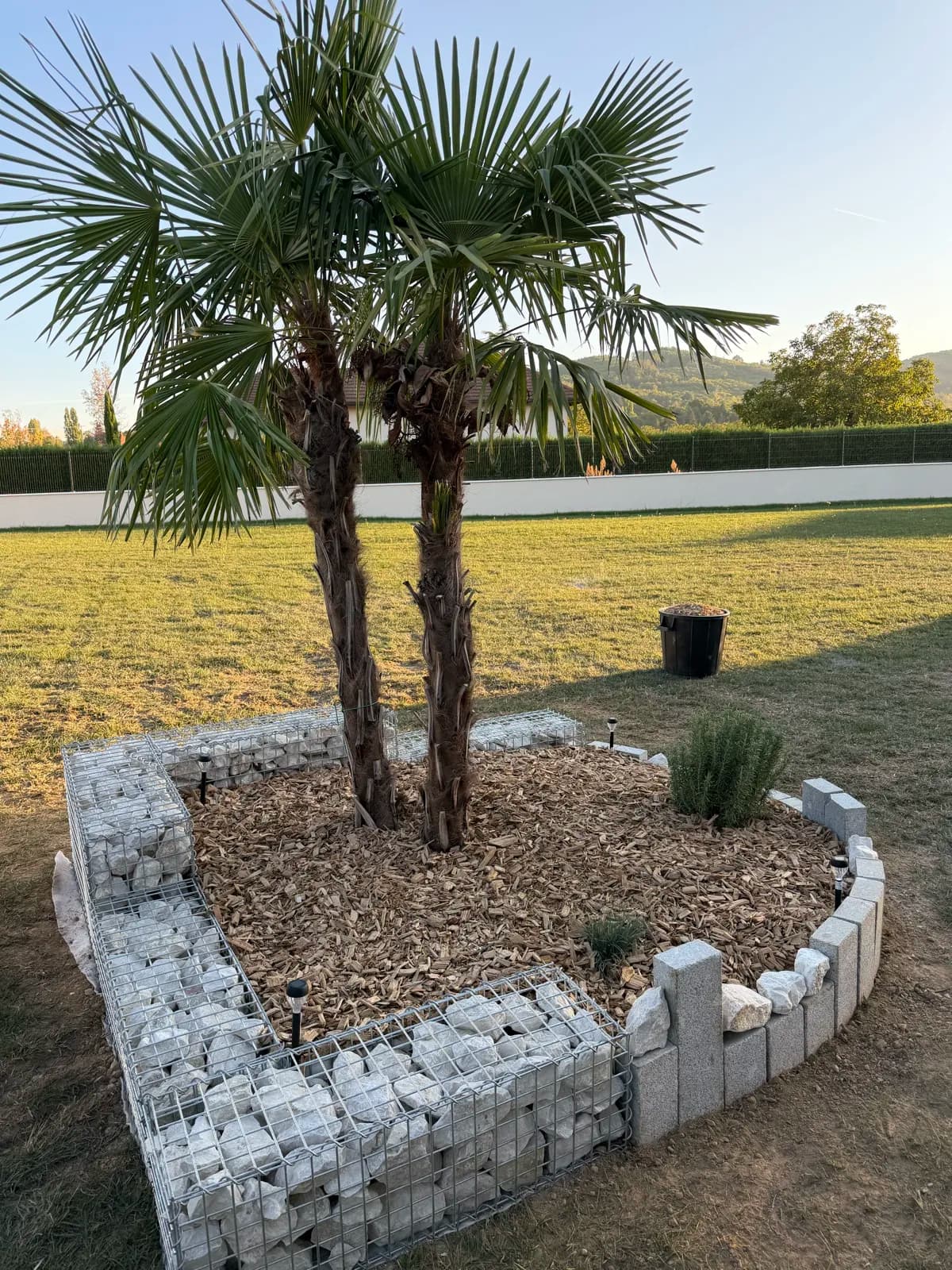 Palmiers & Gabions