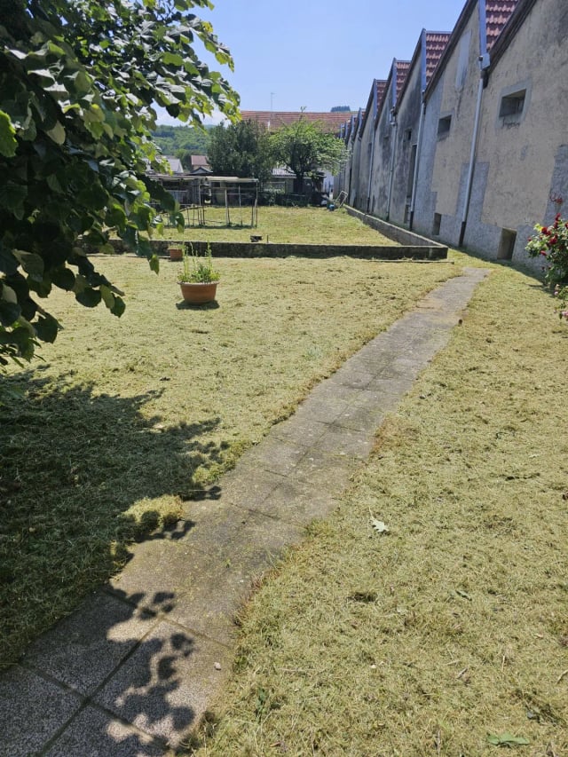 Pelouse après entretien