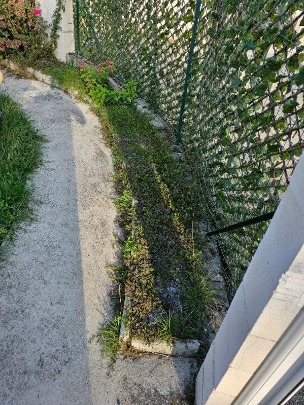 Zone avant création massif